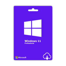 Windows 11/11 Pro Key - 19050