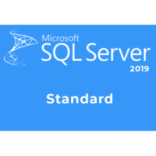 Microsoft SQL Server 2019 Standard Lisans