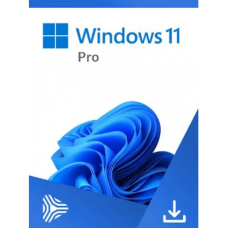 Windows 11 Pro Lisans Anahtarı KEY