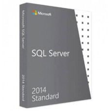 Windows Server 2014 Standard Lisans