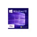 Windows 10 Pro Dijital İndirilebilir Bireysel Lisans - 10 Adet