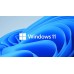 32&64 Bit/ Orijinal/ Faturalı/ Bireysel/ Windows 11 Pro Key
